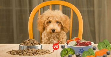 comida natural para cachorro