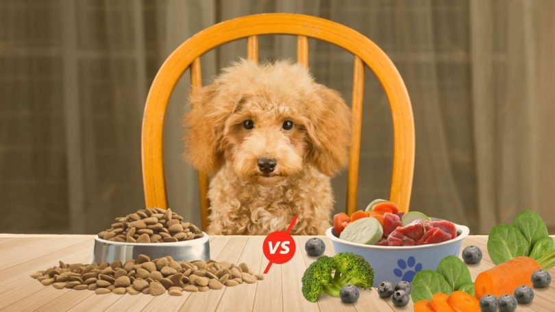 comida natural para cachorro