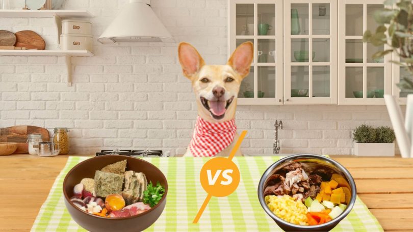 comida natural para cachorro