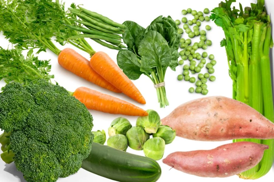 alimentação natural para cachorro