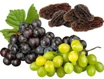 alimentação natural para cachorro