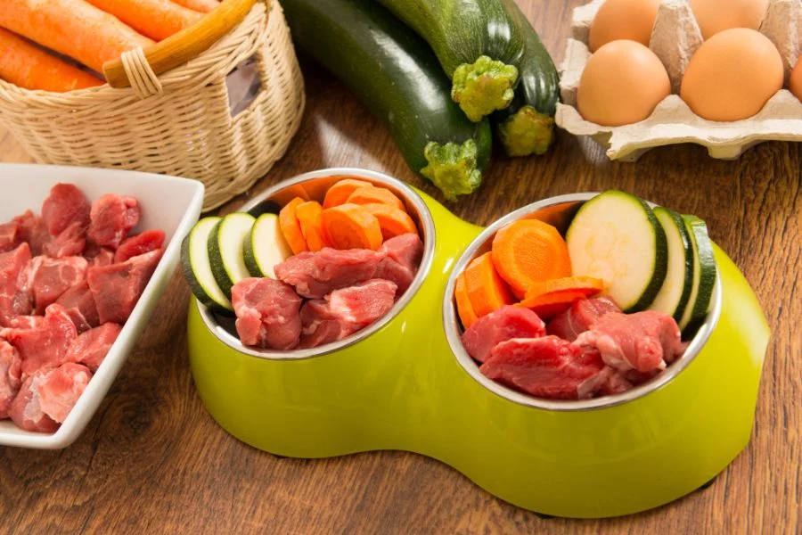 comida natural para cachorro