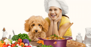 alimentação natural para cachorros