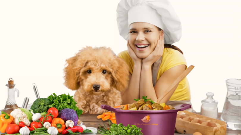 alimentação natural para cachorros