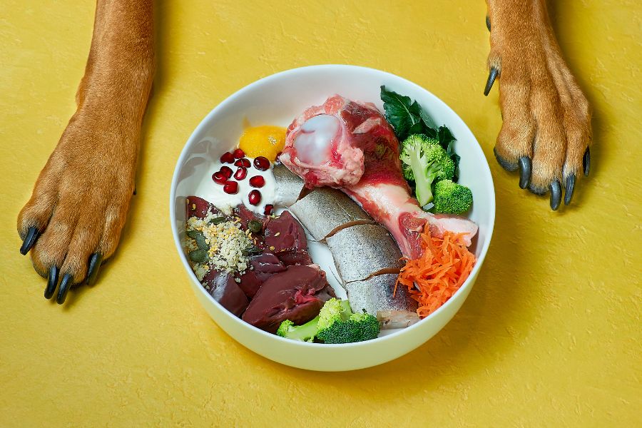 receita de comida natural para cachorro