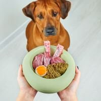 comida natural para cachorro